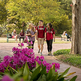 Students walk together on campus